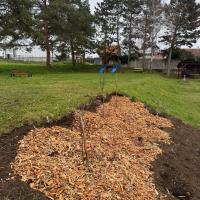 Odkaz: https://www.prirodnazahrada.eu/sites/default/files/styles/large/public/img_6927.jpeg?itok=Zc0mHE1c